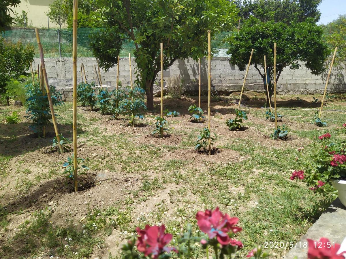 Summer Village House Popi Kanakades Luaran gambar
