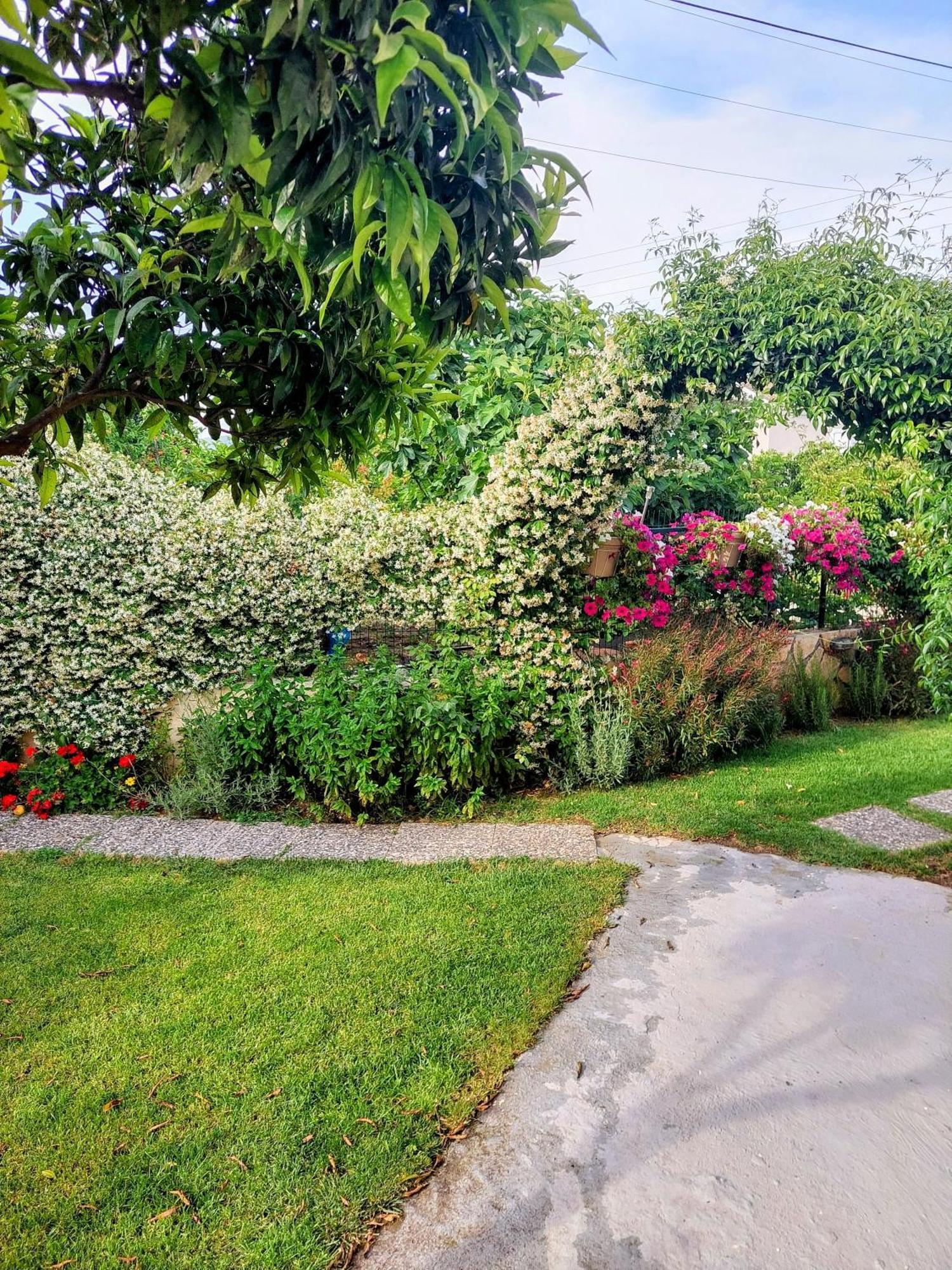 Summer Village House Popi Kanakades Luaran gambar