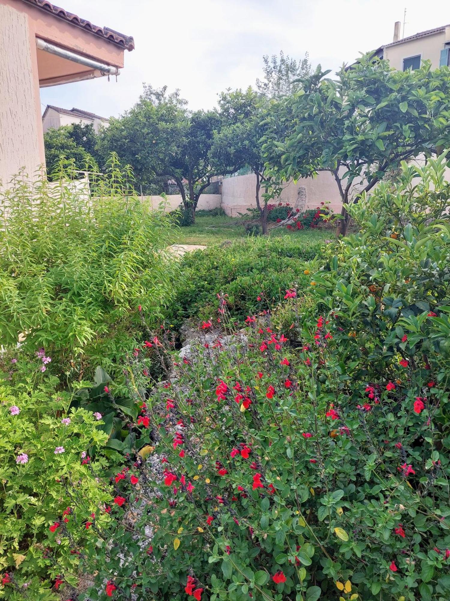 Summer Village House Popi Kanakades Luaran gambar